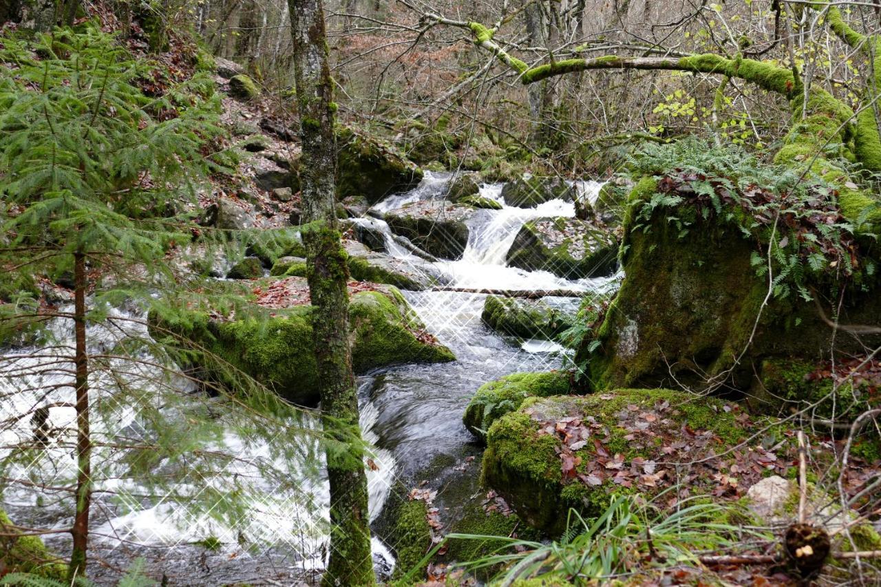 Roulotte Maisonthiers Blanot  Εξωτερικό φωτογραφία
